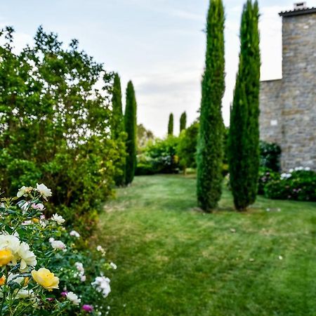 Bed and Breakfast Adq Abbraccio Della Quercia Buje Zewnętrze zdjęcie