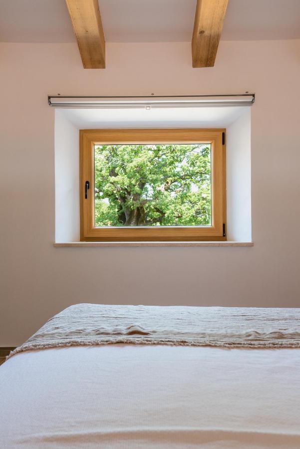 Bed and Breakfast Adq Abbraccio Della Quercia Buje Zewnętrze zdjęcie