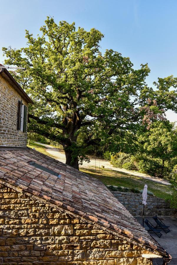 Bed and Breakfast Adq Abbraccio Della Quercia Buje Zewnętrze zdjęcie