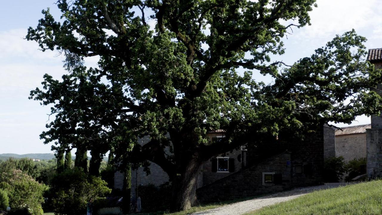 Bed and Breakfast Adq Abbraccio Della Quercia Buje Zewnętrze zdjęcie